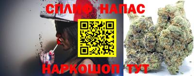 стаф Севастополь