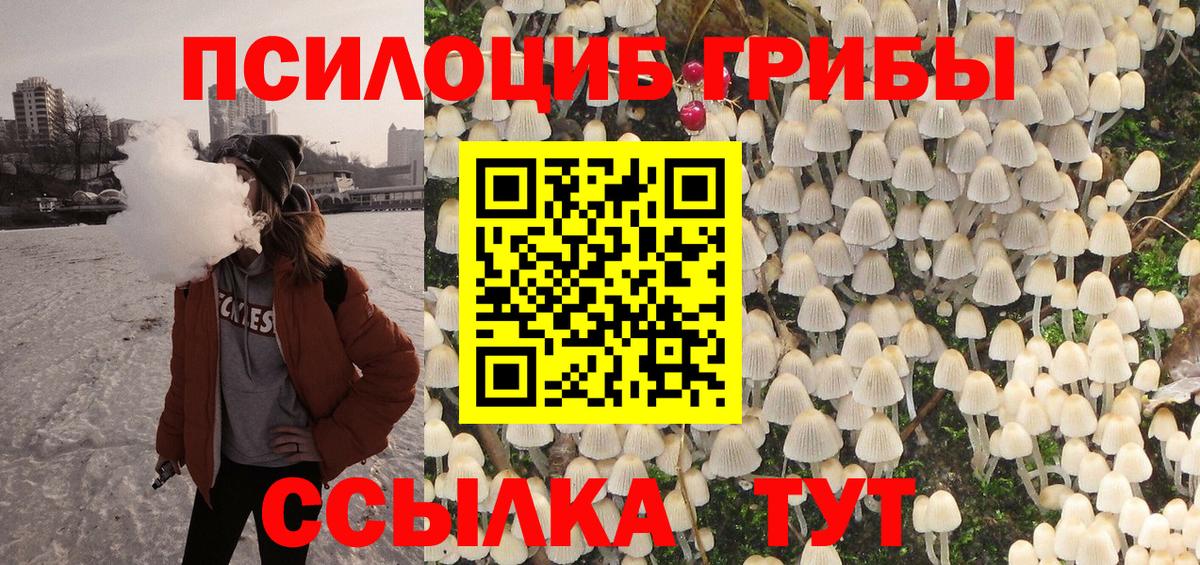 Псилоцибиновые грибы Psilocybe Боровичи