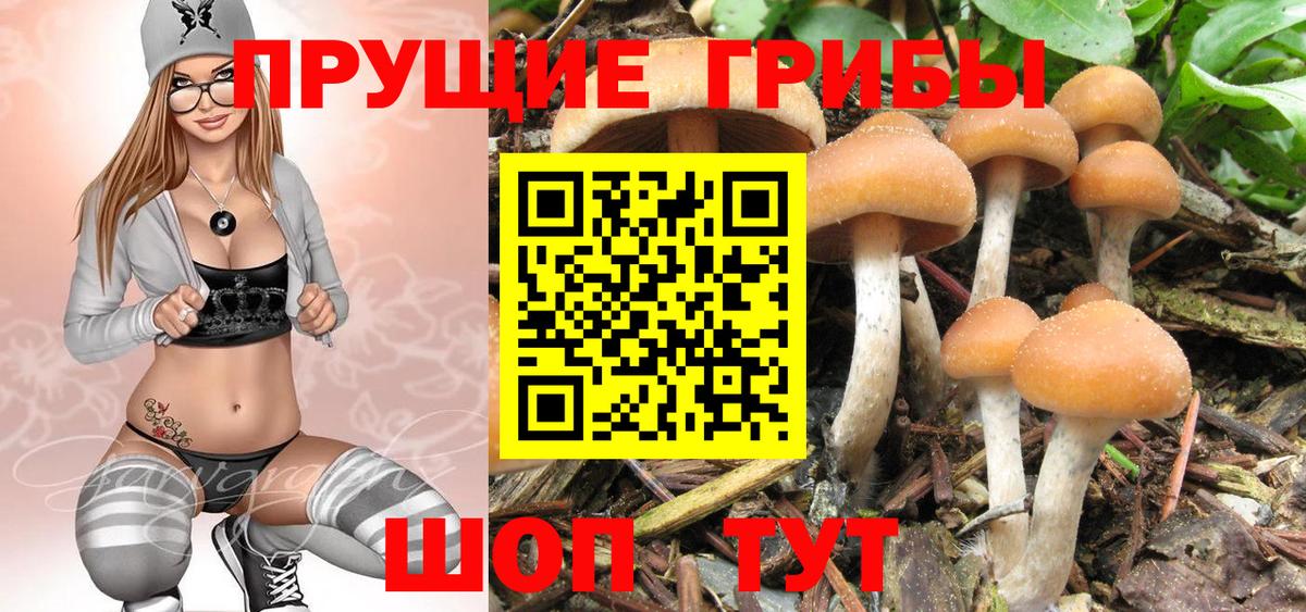 Галлюциногенные грибы ЛСД  Галлюциногенные грибы Magic Shrooms  Боровичи  сколько стоит  Вход с VPN 